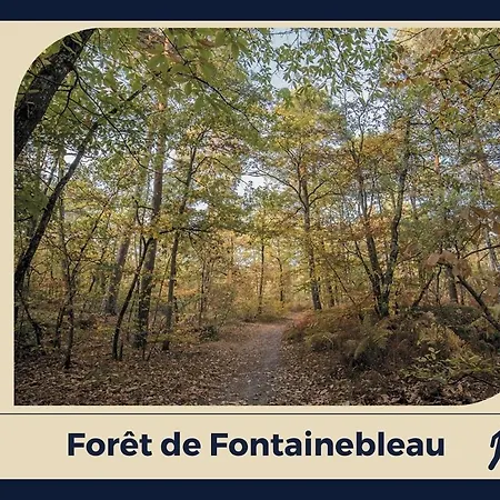 Le Nid Bellifontain - Confort - Centre