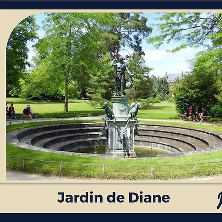 Le Nid Bellifontain - Confort - Centre Apartament