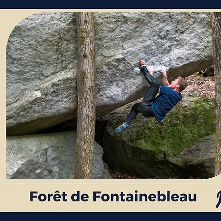 Le Nid Bellifontain - Confort - Centre * Fontainebleau