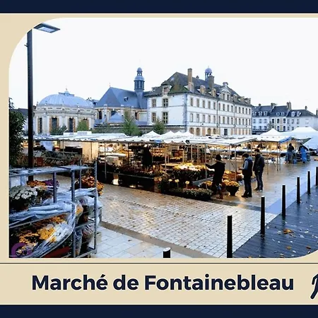 Le Nid Bellifontain - Confort - Centre *